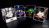 Beyblade Bakuten Shoot OG Collection Display