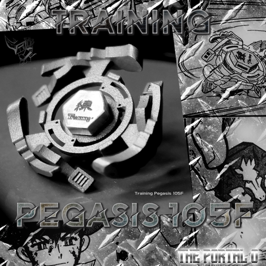 CUSTOM Full Metal Training Pegasus Wheel + Bolt