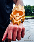 Ryuga Legendary Collection  - ThePortal0 Legends CUSTOM Collection